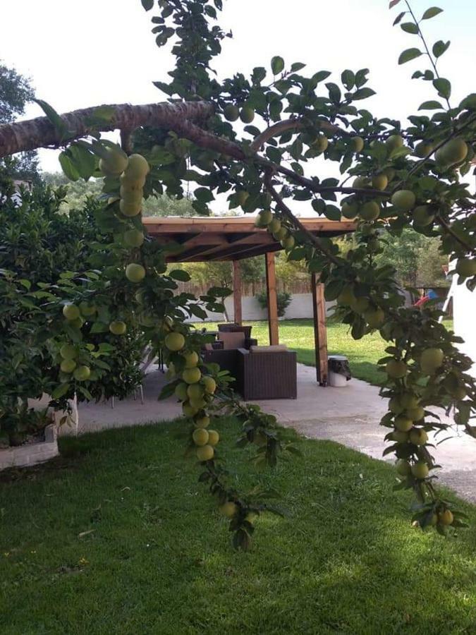 Villa Thanos Marathias  Luaran gambar